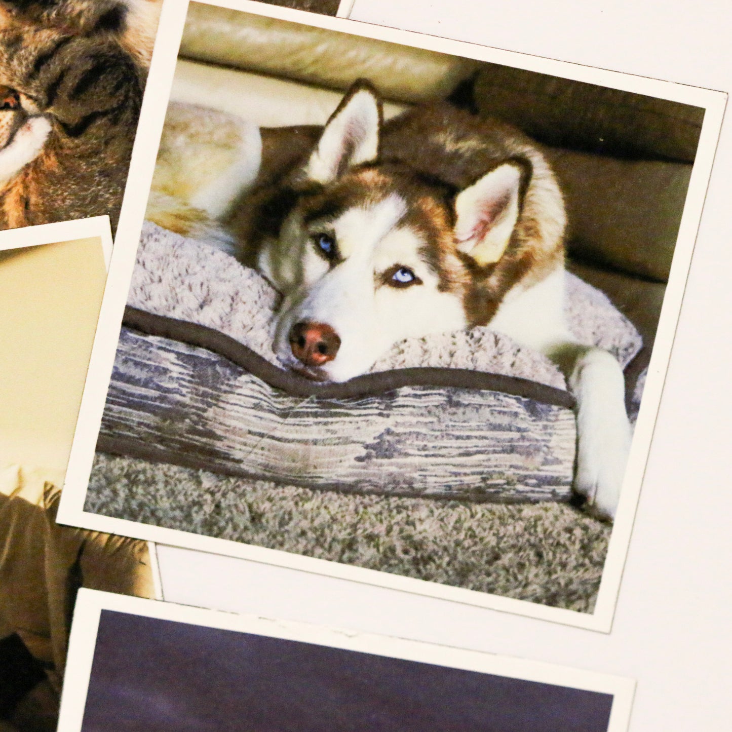 Ímanes Flexíveis Quadrados