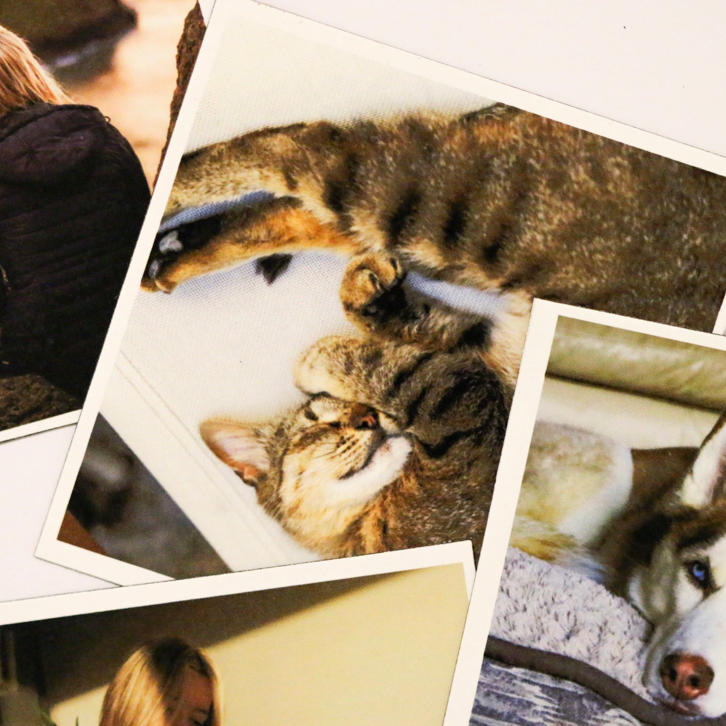 Ímanes Flexíveis Quadrados