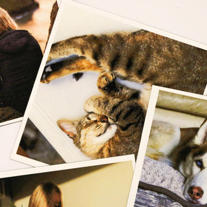 Ímanes Flexíveis Quadrados