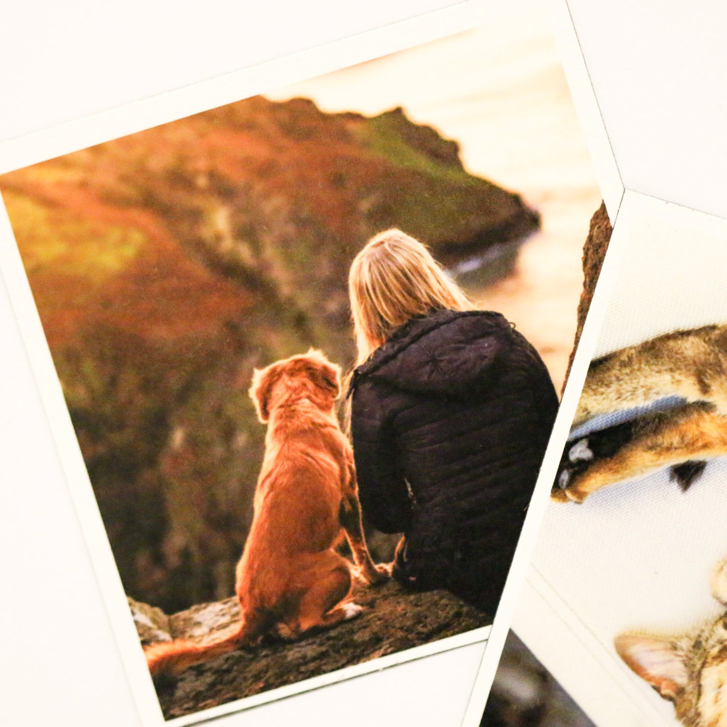 Ímanes Flexíveis Quadrados