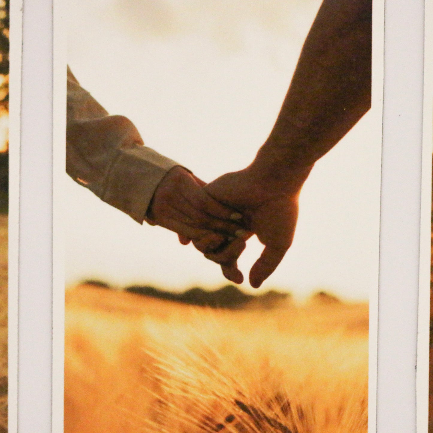 Ímanes Flexíveis Retangulares